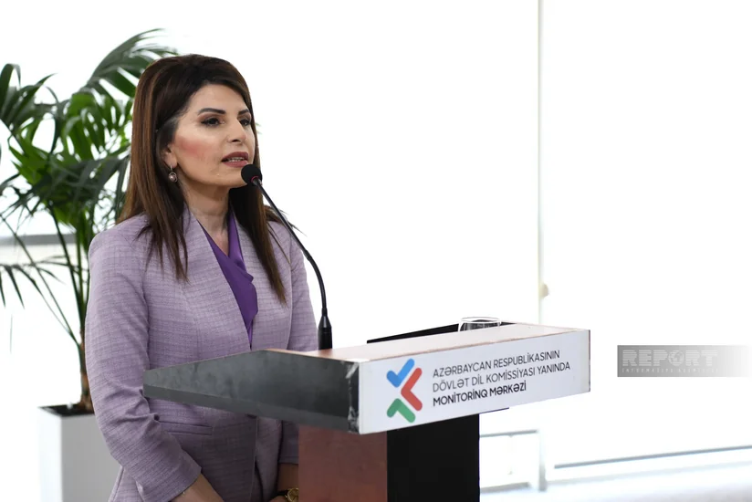 Direktor: “Mahnılarımızdakı nöqsanlarla bağlı təxirəsalınmaz tədbirlər görülməlidir”