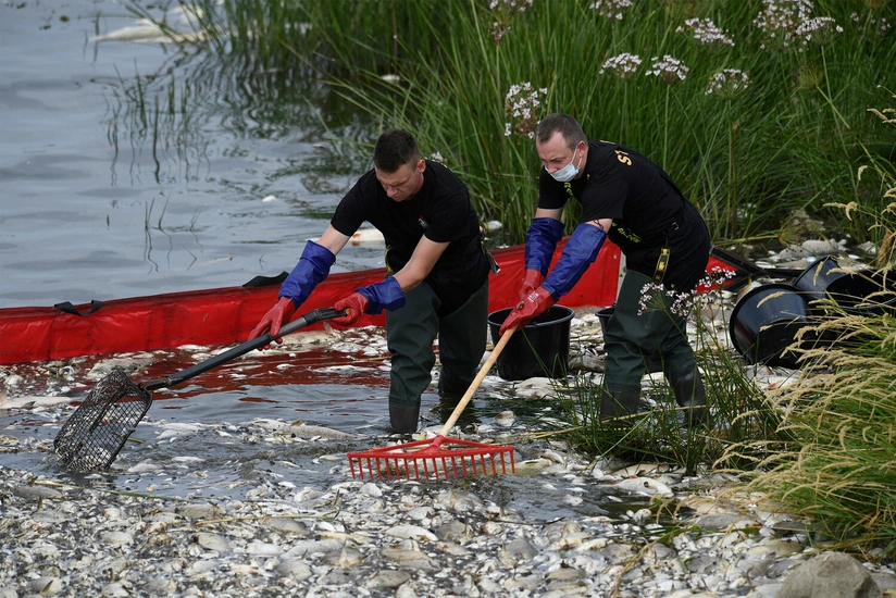 Heat in Czech Republic leads to mass death in Oder River