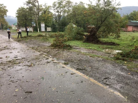 Sel suları Qəbələdə yol infrastrukturuna ziyan vurub
