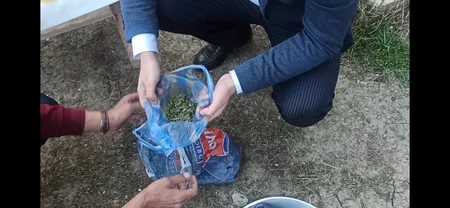 Kürdəmir sakinindən külli miqdarda narkotik götürüldü