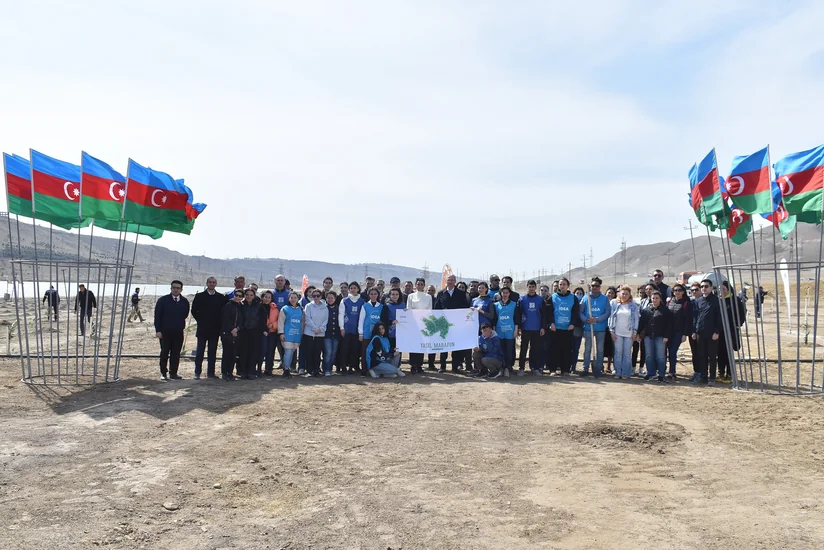 Over 1,000 trees planted in Baku's suburbs