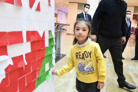 “Zəfər arzuları” adlı sosial aksiya keçirilib