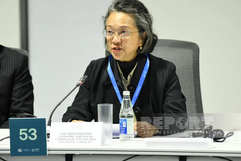 ESCAP: Investment in renewable energy infrastructure must be increased