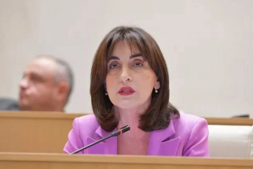 Gürcüstan XİN başçısı Ermənistana səfər planlaşdırır