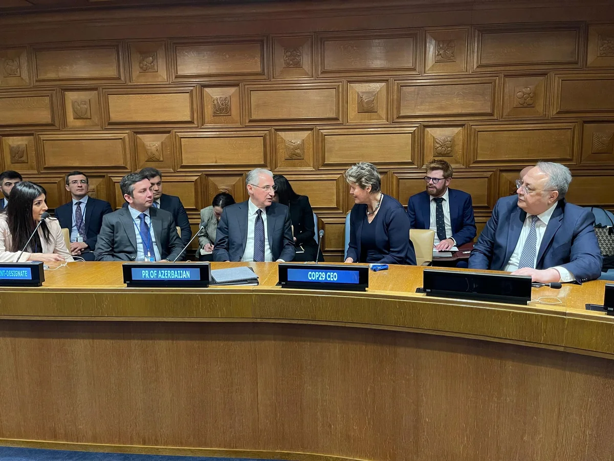 Azerbaijani minister meets with UK permanent representative to UN