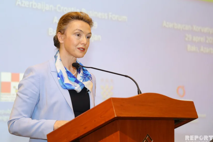 FM: Economic cooperation between Azerbaijan and Croatia is developing