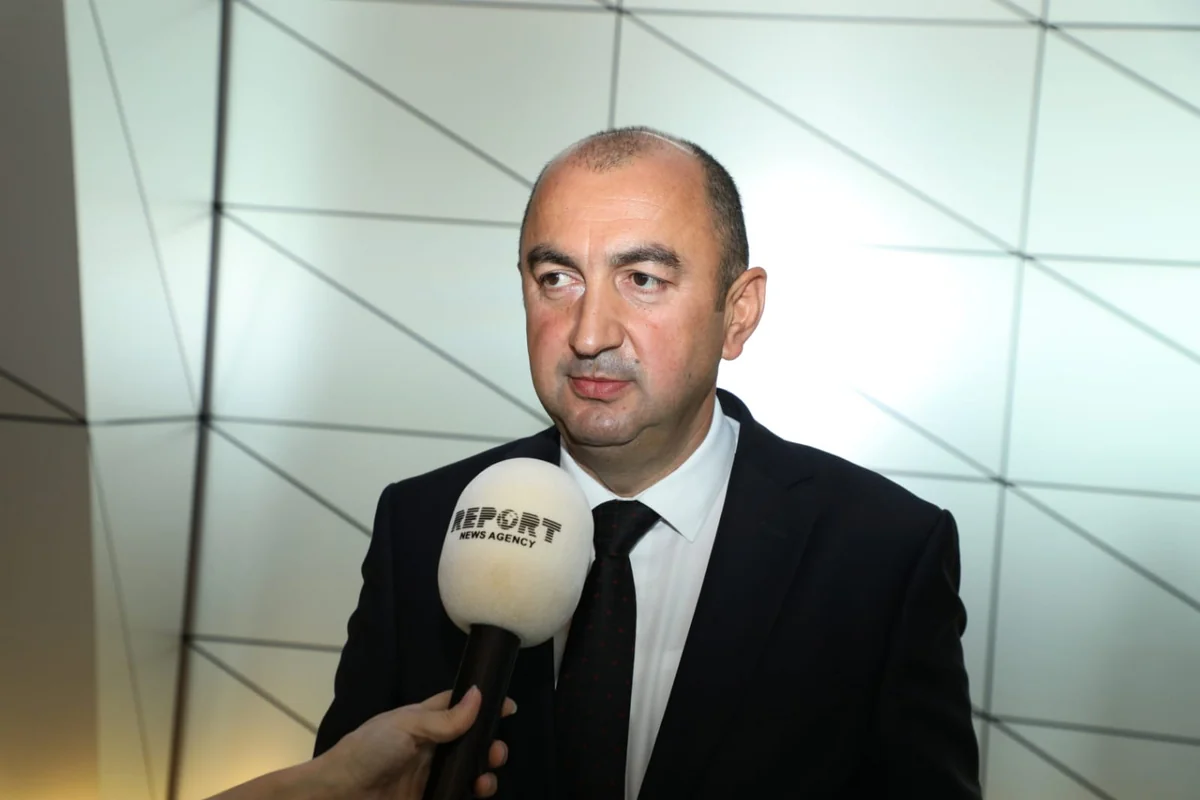 Nazir müavini: Cəbrayılda ceyranların yırtıcıların hücumuna məruz qalma təhlükəsi yüksək deyil, minalar isə onlara böyük risk yaratmır