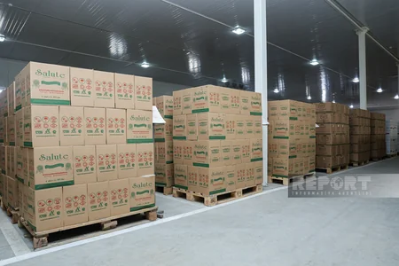 Ordunun ərzaq təminatı: laboratoriyalar, soyuducular və iş prinsipi - Mərkəzi Ərzaq Anbarından REPORTAJ - ÖZƏL GÖRÜNTÜLƏR