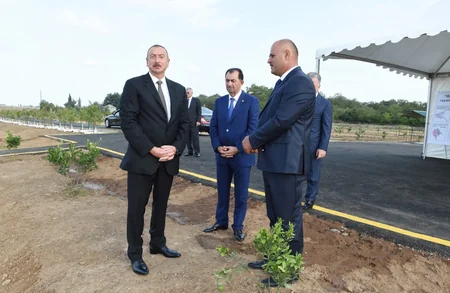 Prezident İlham Əliyev Lənkəranda “Gilan Orchards MMC tərəfindən salınmış sitrus bağları ilə tanış olub