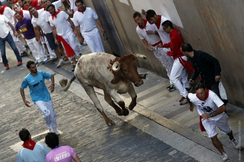 Spain: 4 injured, no one gored in first Pamplona bull-run