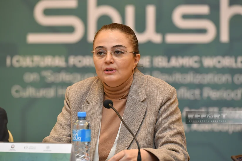 Замминистра: Азербайджан - страна, испытавшая разрушительное воздействие вооруженного конфликта на культурное наследие