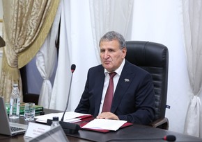 Президент НАНА: В Баку и на Абшеронском полуострове начались археологические исследования