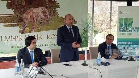 Hirkan Milli Parkının yaranmasından 20 il ötür