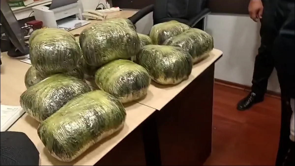 Sumqayıtda əməliyyat: 14 kiloqram narkotikin dövriyyəyə buraxılmasının qarşısı alınıb