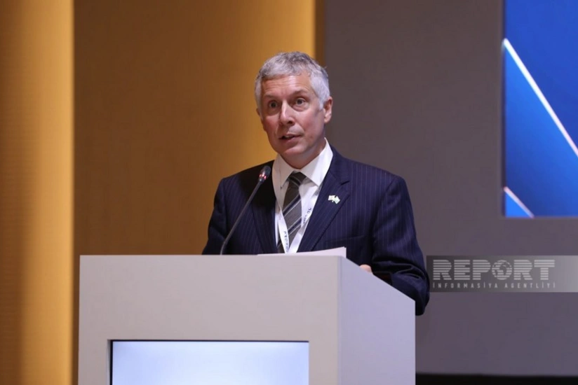 Səfir: Beynəlxalq ictimaiyyət ərzaq sisteminin təhlükəsiz istifadəsini təmin etməlidir