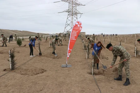 Hərbi qulluqçular ETSN-in nümayəndələri ilə birgə Müşfiqabadda 1 500 ədəd ağac tingi əkib