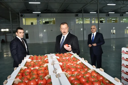 Prezident İlham Əliyev Zirə qəsəbəsində “BAKU AGROPARK”da görülən işlərlə tanış olub