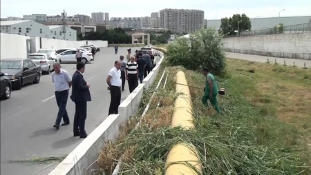 Bakıda yanğına səbəb olan quru ot, kol-kos və məişət tullantıları yığılan sahələr təmizlənib
