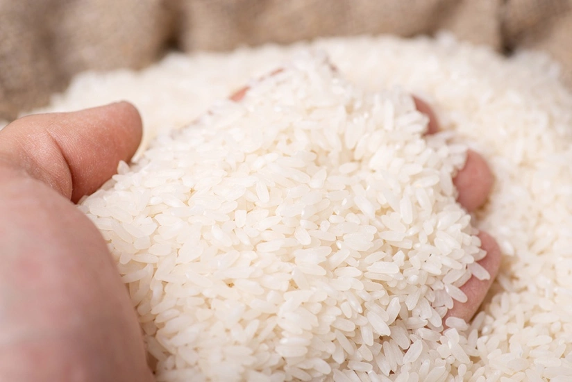 Rice prices surge to fresh 15-year high