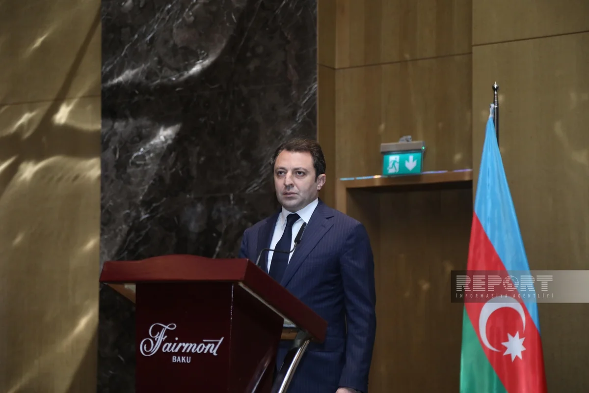 Elnur Mammadov: Japanese companies implementing energy projects in Karabakh and Nakhchivan
