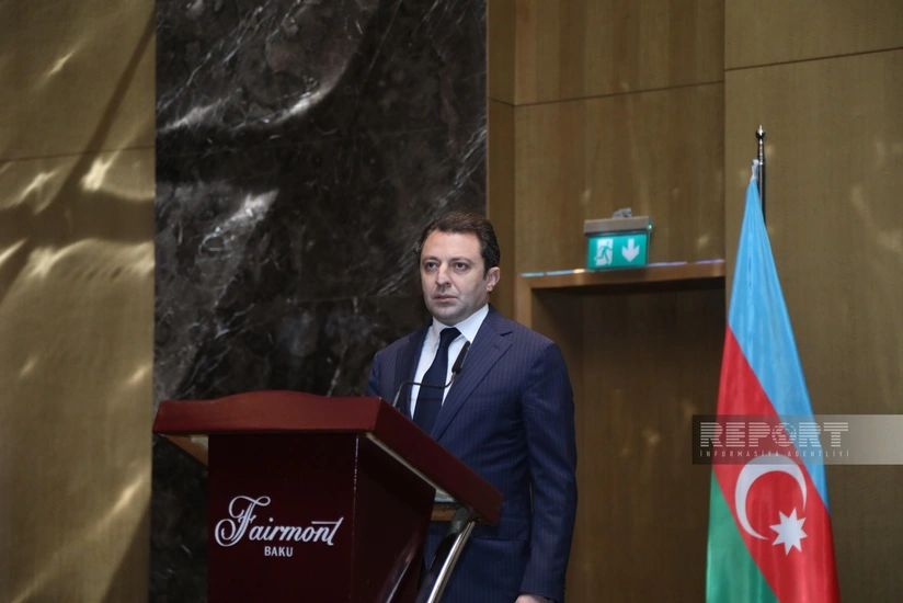 Эльнур Мамедов: Японские компании реализуют энергетические проекты в Карабахе и Нахчыване