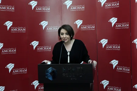 Səlim Müslümov: “İşsizlikdən sığorta haqqında” qanun layihəsi Milli Məclisə təqdim olunub”