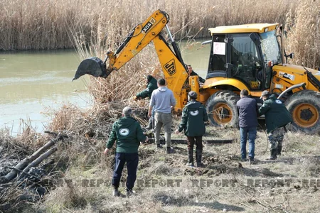 Salyanda qanunsuz balıq ovlayanlara qarşı reyd keçirilib - YENİLƏNİB