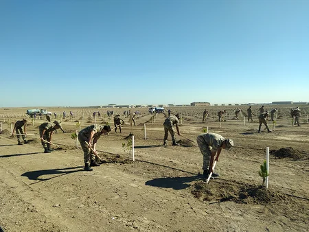 Anım Günü münasibətilə ağacəkmə aksiyası keçirilib