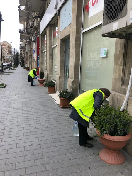 Karantin günlərində paytaxtda yaşıllıqlara qulluq göstərilir