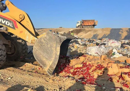 İrandan gətirilən 20 min kq-dan çox uyğunsuz qida məhsulu məhv edilib