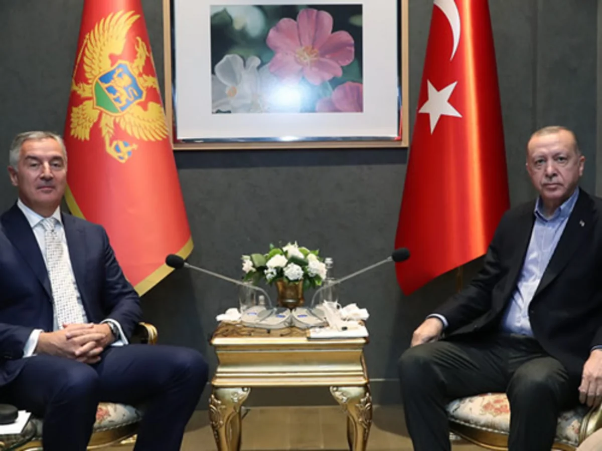 President of Montenegro to visit Turkiye