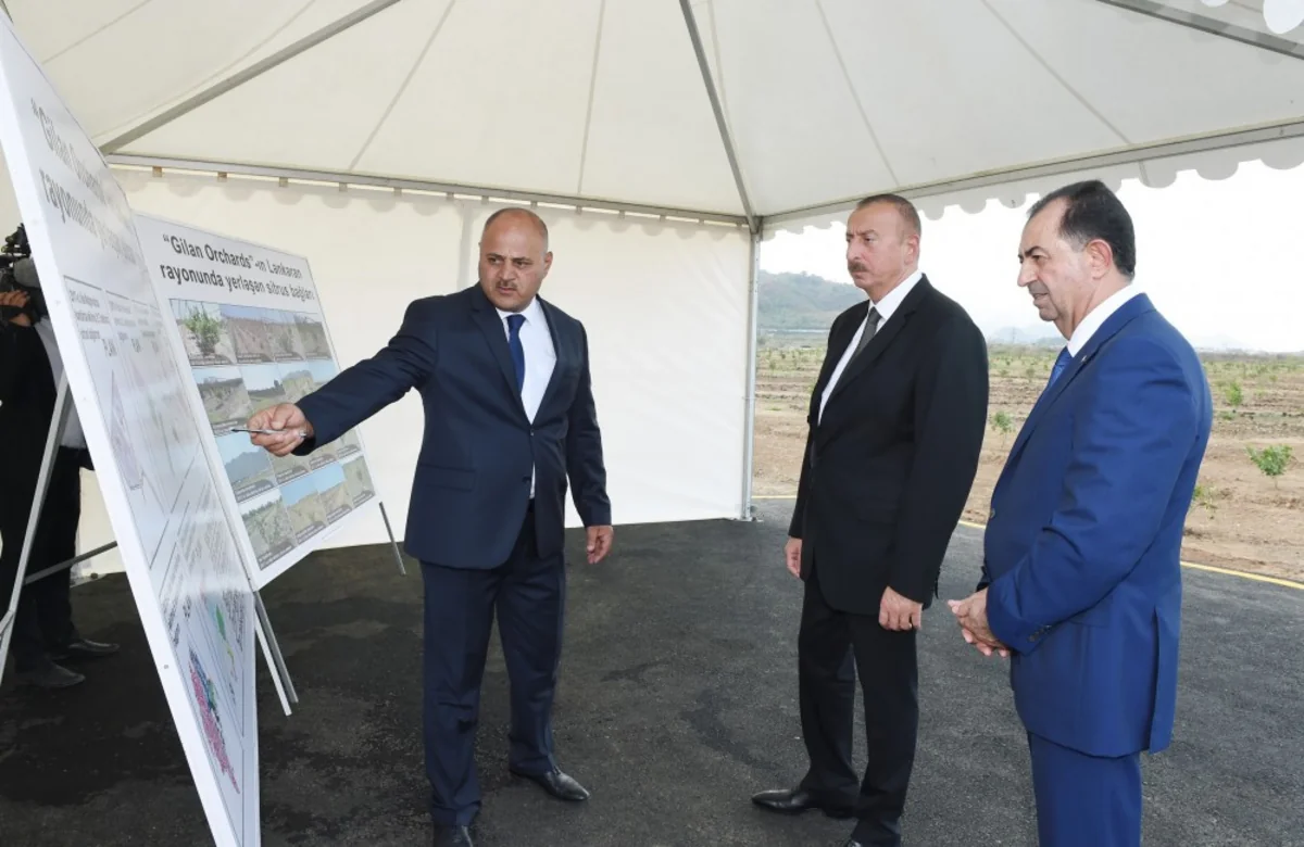 Prezident İlham Əliyev Lənkəranda “Gilan Orchards MMC tərəfindən salınmış sitrus bağları ilə tanış olub