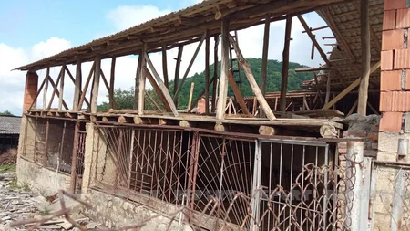 Güclü külək Qaxda tikililərin dam örtüyünü uçurub, ağacları aşırıb 