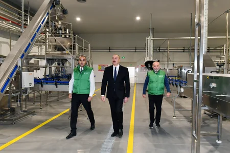 Prezident Zirədə zeytun emalı zavodunun açılışında iştirak edib - YENİLƏNİB