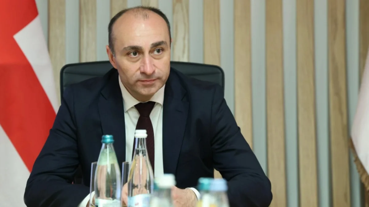 Georgian interior minister, Israeli minister of national security mull cooperation