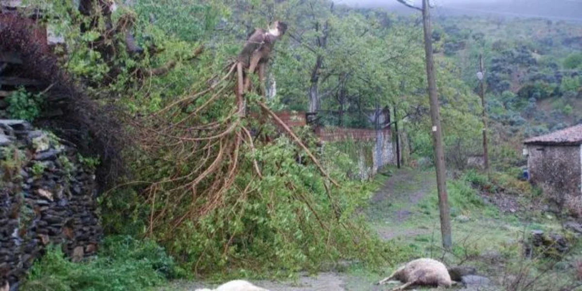 ​Britaniyada şiddətli fırtına həyatı iflic edib