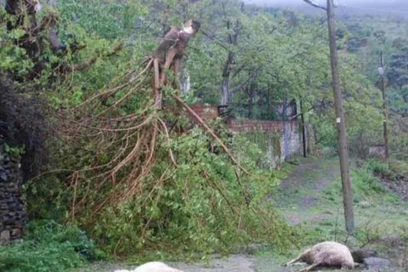 ​Britaniyada şiddətli fırtına həyatı iflic edib