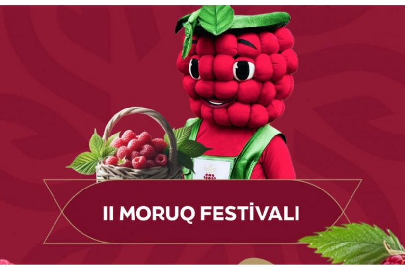 Göygöldə “II Moruq Festivalı” keçiriləcək
