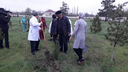 Kürdəmirdə ağacəkmə aksiyası keçirilib