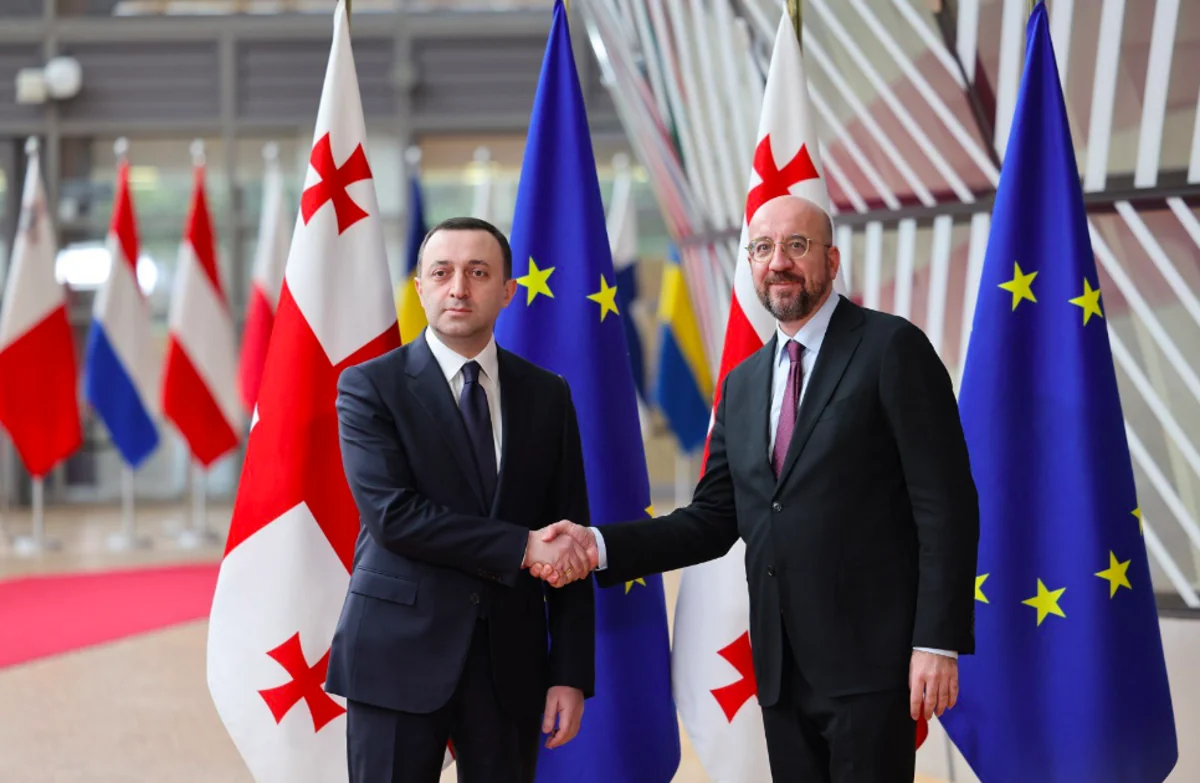 Gürcüstan ilin sonuna kimi Aİ-yə namizəd statusu almağa layiq olduğunu düşünür