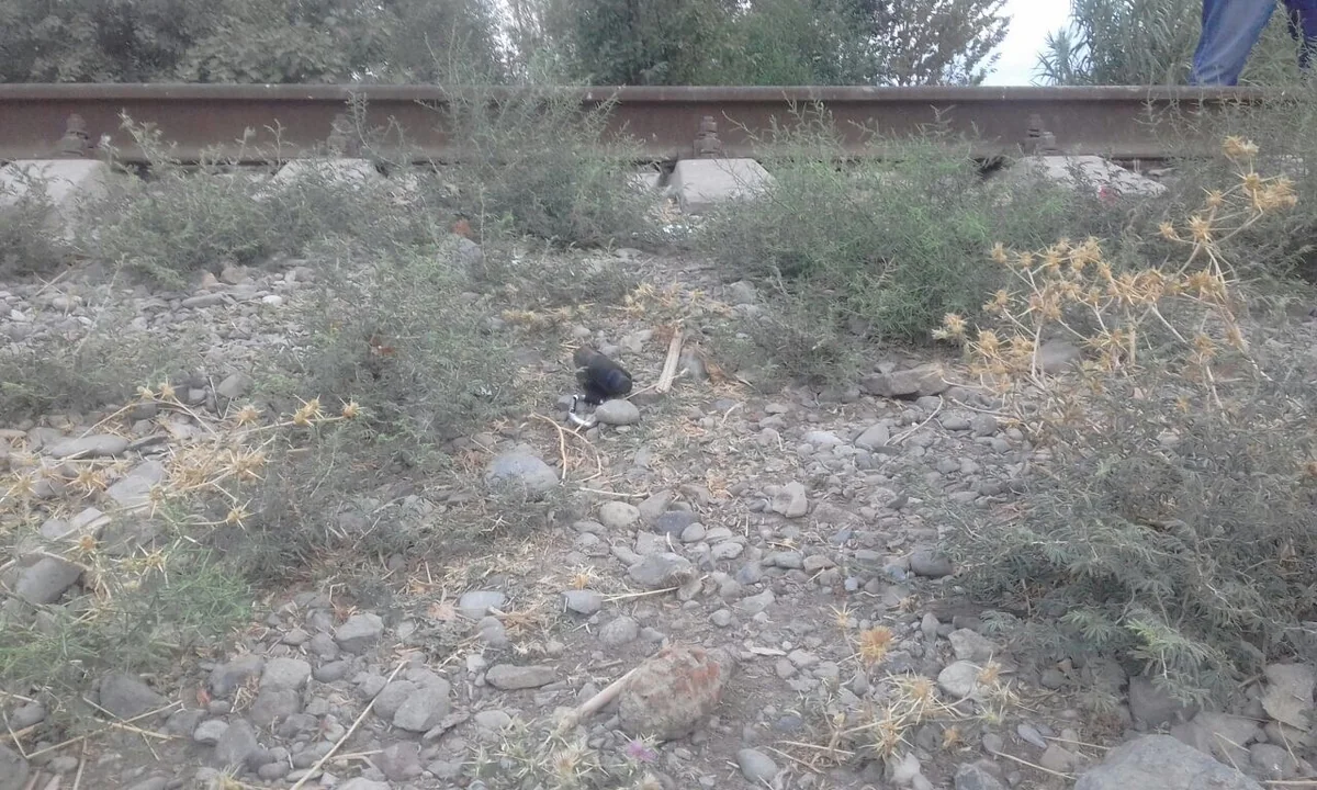 Füzulidə dəmir yolunun yaxınlığında əl qumbarası tapılıb - FOTO