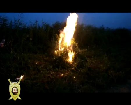 Bakıda narkotik vasitələrin alqı-satqısında şübhəli bilinən Gürcüstan vətəndaşı saxlanılıb