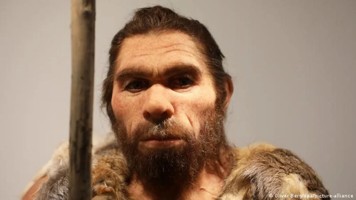 Scientists identify Neandertal gene variants that can slow drug metabolism