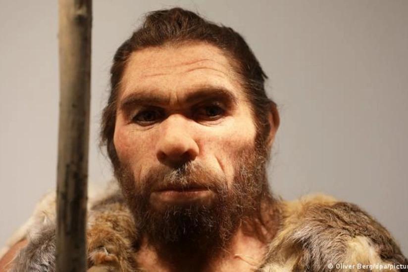 Scientists identify Neandertal gene variants that can slow drug metabolism