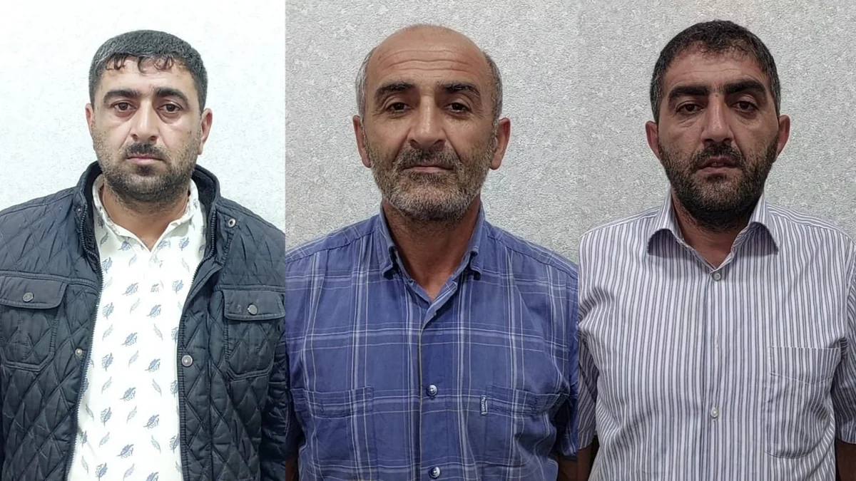 Lənkəranda meşədən mal-qara oğurlayanlar həbs edilib