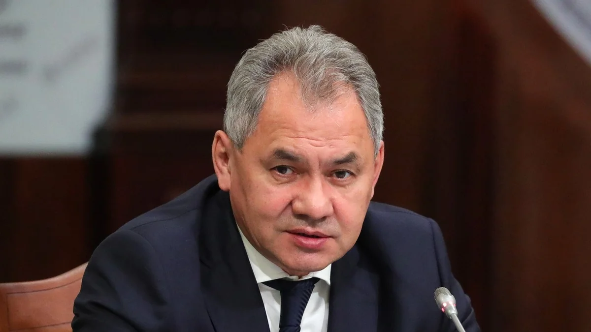 Şoyqu: Burada prezidentlərə məruzə etməli, müzakirə olunmalı məsələlər var