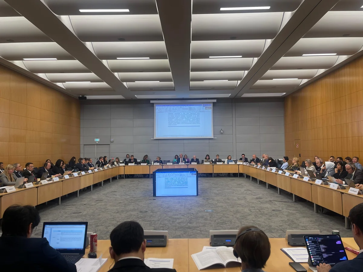 Baş prokurorun müavini Fransada beynəlxalq görüşdə iştirak edib