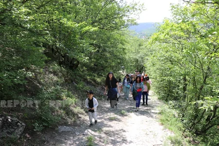 Bu Mərkəzdə saxlanılan ayının gözləri görmür... - REPORTAJ
