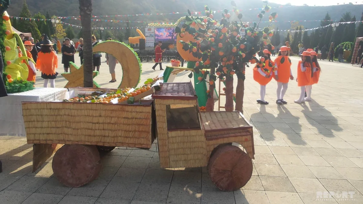 Balakəndə üçüncü Beynəlxalq Xurma Festivalı keçirilir - FOTO