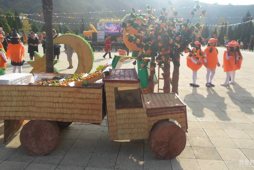 Balakəndə üçüncü Beynəlxalq Xurma Festivalı keçirilir - FOTO